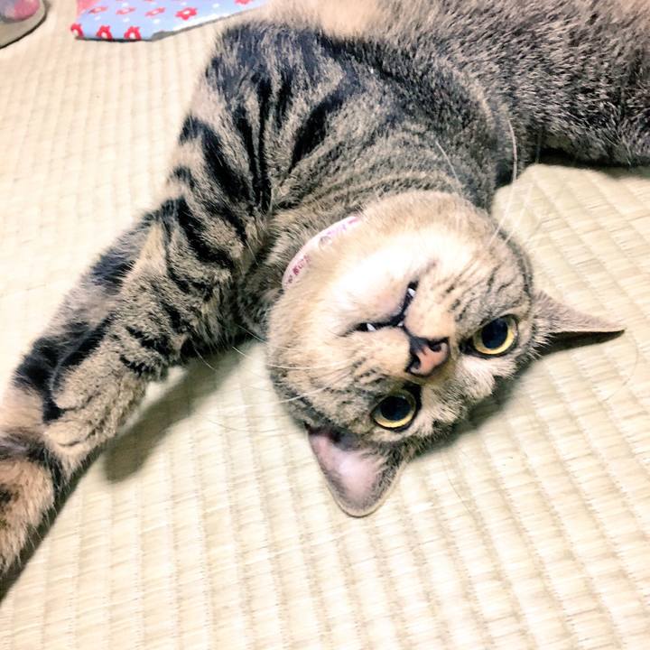 3cc2ec24 9bbe 43b5 9c22 21db2e159f57