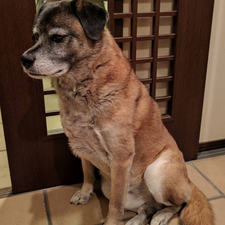 3cc2f04e 2c29 406c adc2 d45d3c5777ff