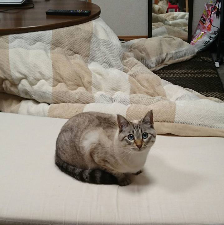 3cc30e9e 0ce5 4726 b3d5 17ddd34e1218