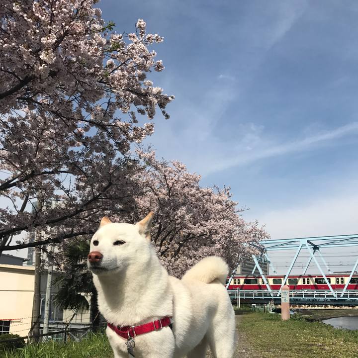 3cc3379e 2f02 4402 b805 dec0bd331b5b