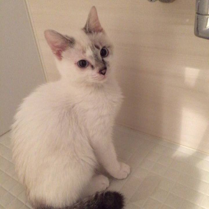 3cc34500 6f83 4a46 987b 24a696db1f46