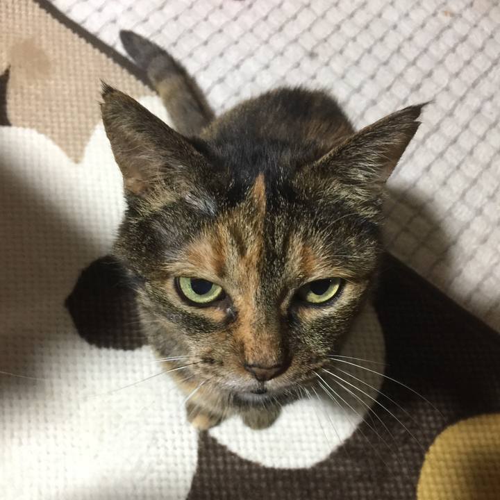 3cc3bb0e 5146 4eff bee8 4025385a14e5