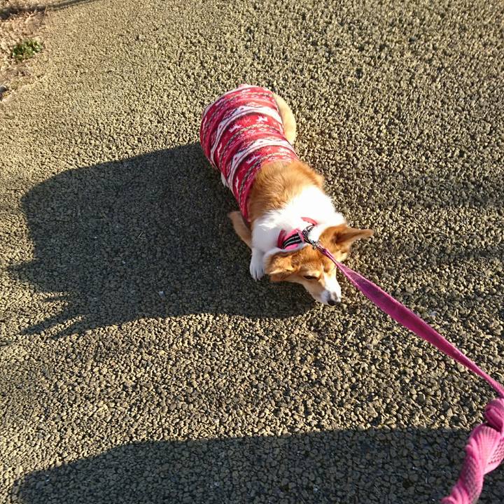 3cc41dfd 7ded 422c 95c7 9048d3175f5a