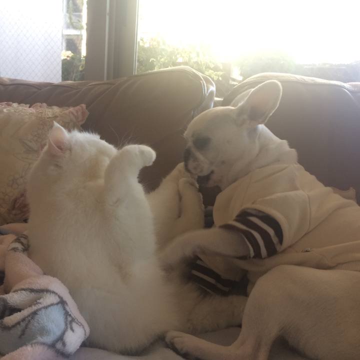 3cc4630d a2d9 4e97 bbec 5716da9368c8