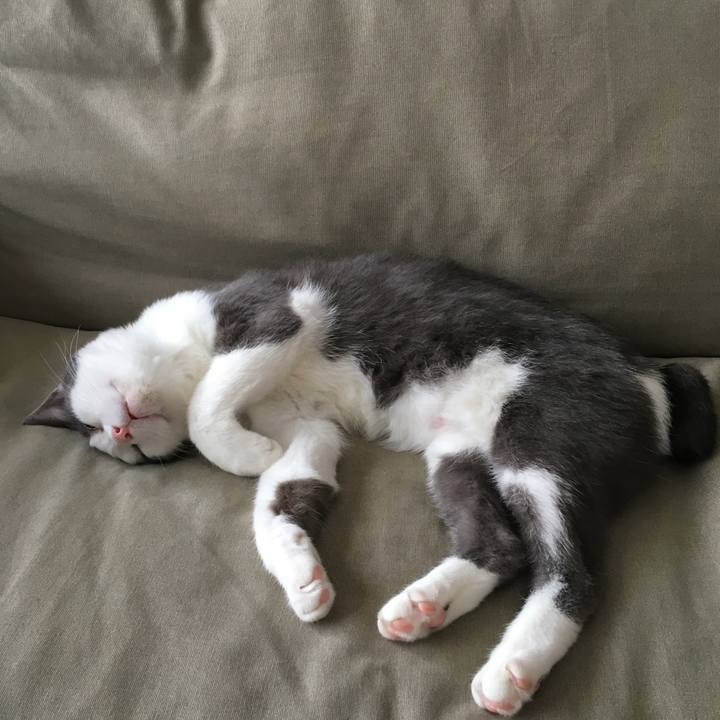 3cc5fbef 2291 4327 b9ef 3534cd94a918