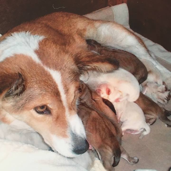 3cc615e7 1dd9 4e26 a180 432da5e29c34