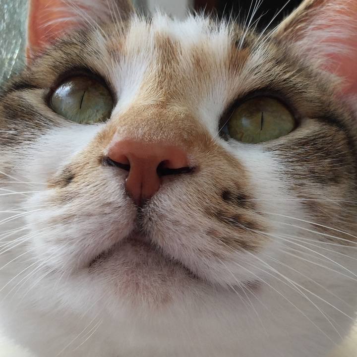 3cc635ce 5937 4fe8 8591 ad69313398bd