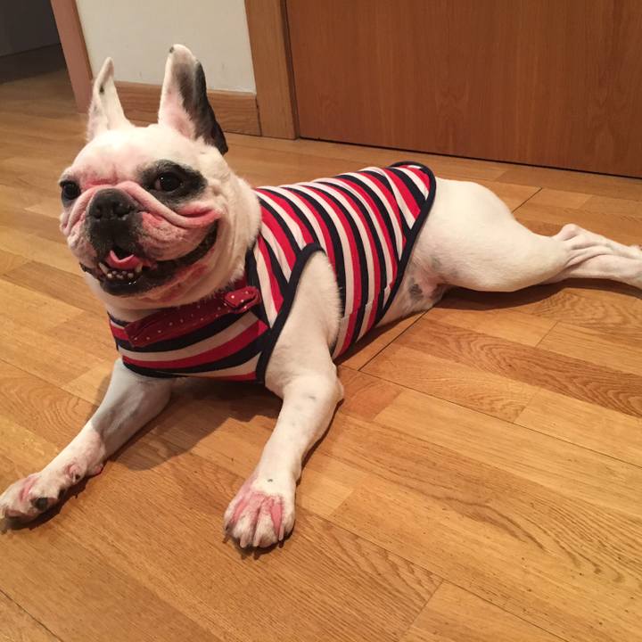 3cc6a539 9999 4299 8e05 de65c7ff214c