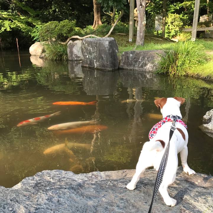 3cc6afa4 d29a 4eb1 9380 28786e418355