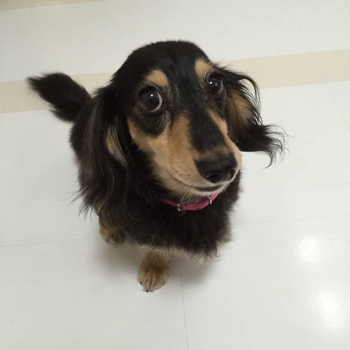 3cc75c68 3feb 42b4 bd78 b76d9210660b