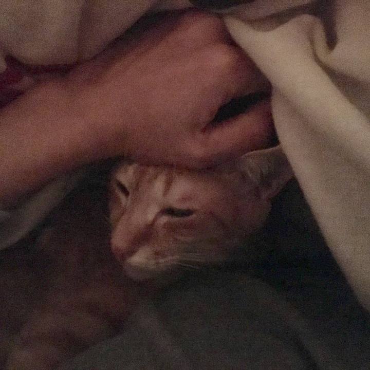 3cc761e9 5235 4216 8dae bf18dcf902df