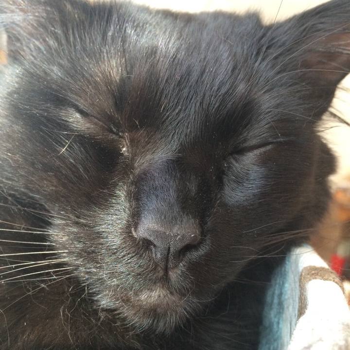 3cc7df3b 7c6b 4d66 a1d7 f7d2a43e2027