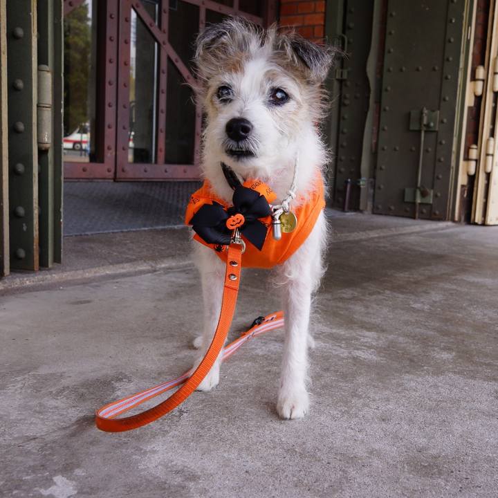 3cc84d70 897a 4a27 9e07 9a3a87732b54