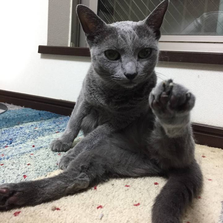 3cc8d1ca d46c 4c2c 84b6 2bd756971835