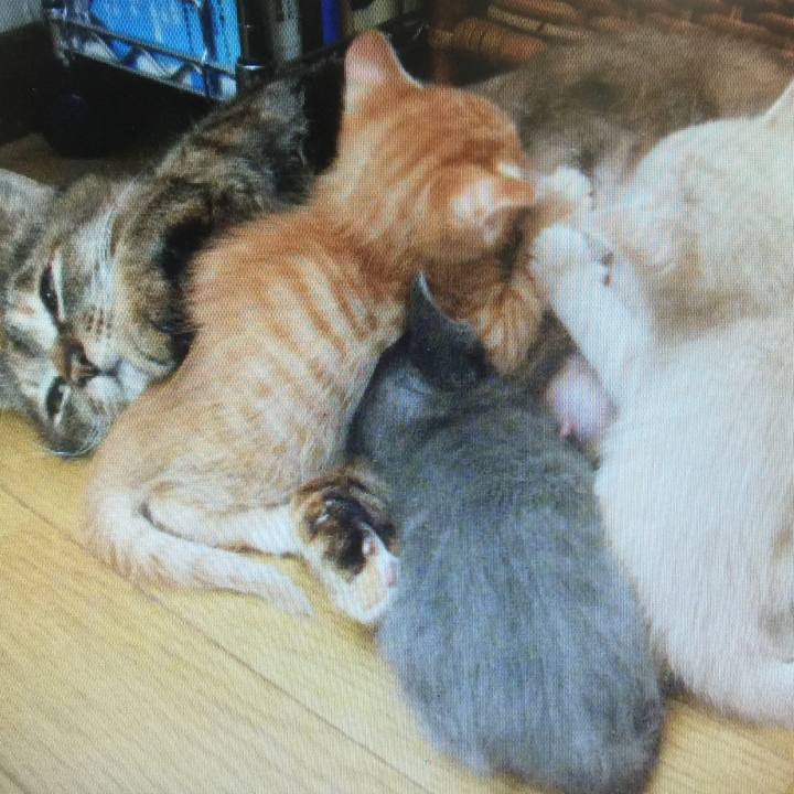 3cc8fd5f 1c1a 49aa 8976 b2370b9d53af