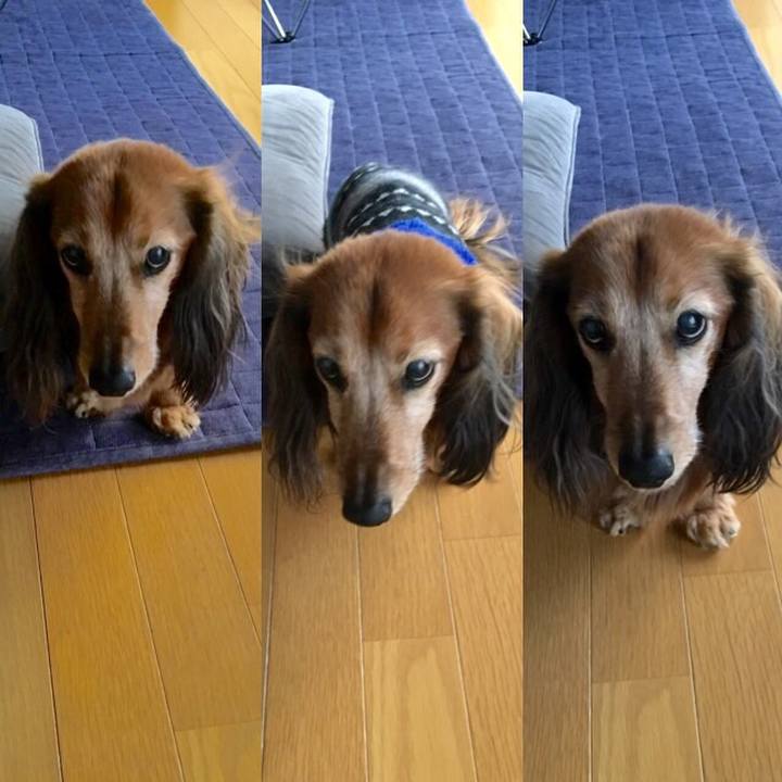 3cc965be 82a1 4c1f 9983 54ce2909db43