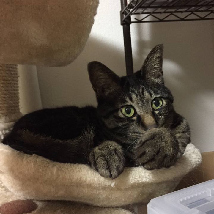 3cc9f265 6b07 4435 b5b7 f7bf7b12eff6