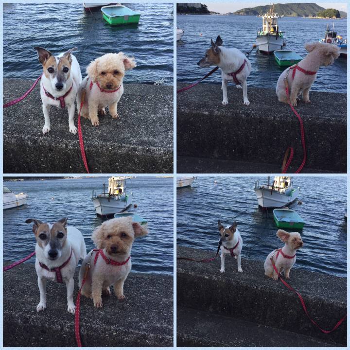 3cca4d36 4339 4115 bb56 44ad76eda5ac