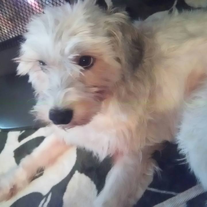 3ccaa536 a31e 49b0 9226 566a30165db0