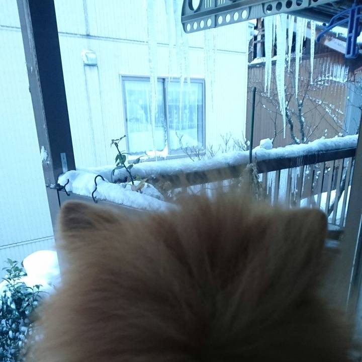 3ccb1bcf 2e32 4e15 b76a 0336b45a2b81