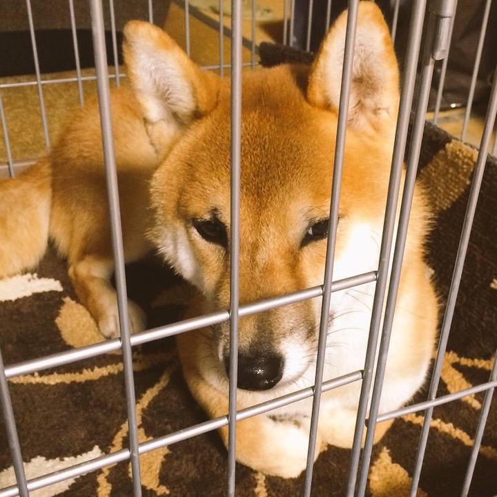 3ccb5c2b 9c81 4a10 9117 7f2b14efa062