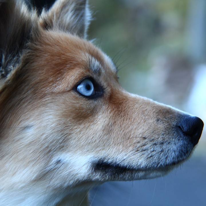 3ccd6a4d 450c 4135 9550 281202f11d1f