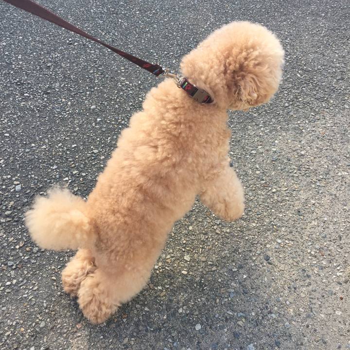 3ccd7026 485c 4d8c a0f7 77250ee9dfdd