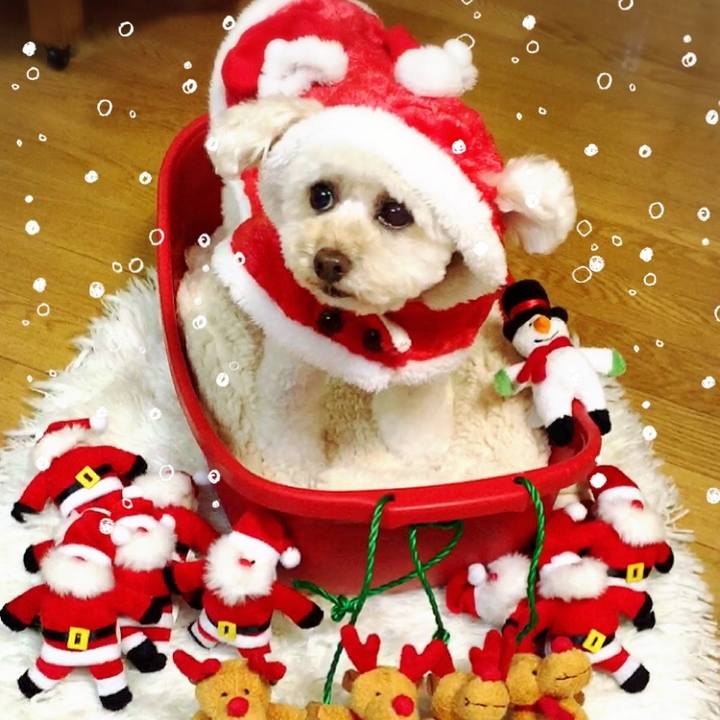 3ccd8a93 77d6 49cc b344 0eb21778772b