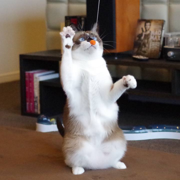 3ccdfcb7 e818 4c4c 86da 8a20b453d855