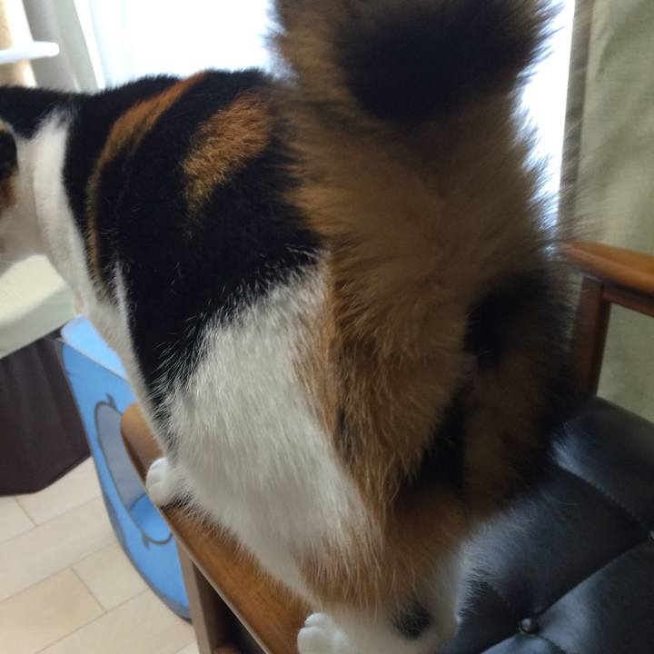 3cce1122 cf88 4b05 8f63 99a6ef1544c8