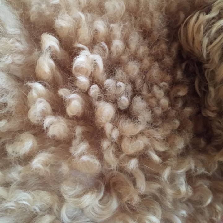 3cce27df 26d5 43e2 aadb 71eaf2820863