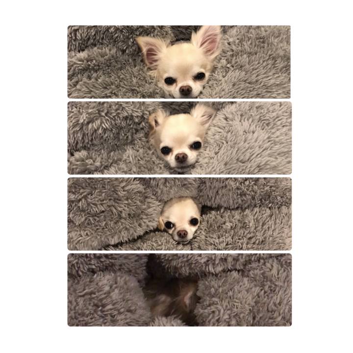 3cceb61a cf31 421d 9f26 2733b0837536