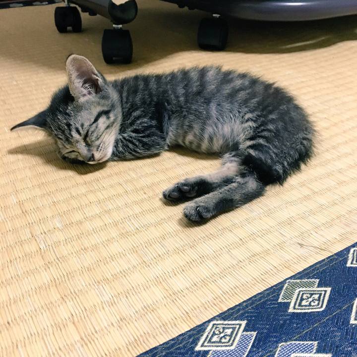 3ccf40c0 c54b 4c61 aa64 741cd1e576fa