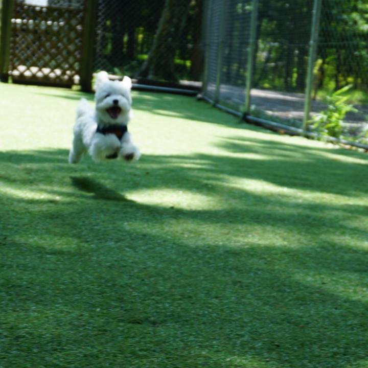 3ccf52fa c176 4aa9 8389 64159ac752b8