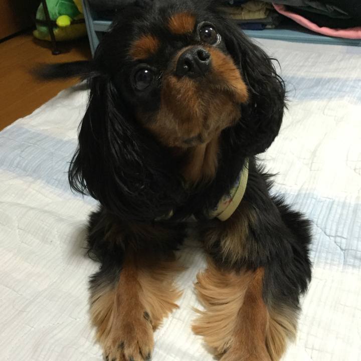 3ccf6f19 31db 4de0 82b0 0bf080ee1ba5