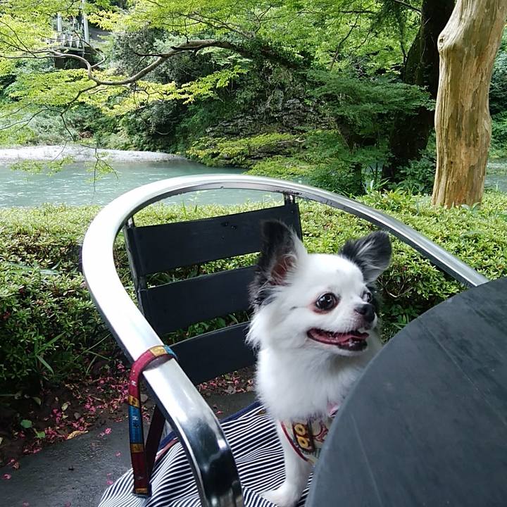 3ccfadb6 b09a 4f03 bc45 8379bed460da