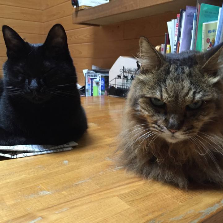 3cd085b0 cd2d 4ca7 b79d f021a901ce6e