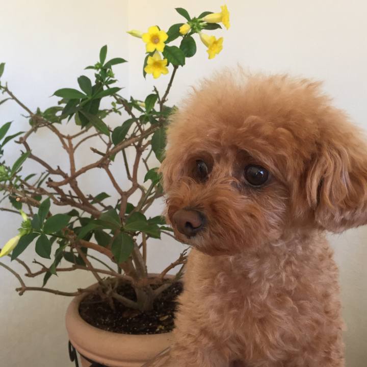 3cd0c04a da2a 4b0b 9c48 afc480936fae