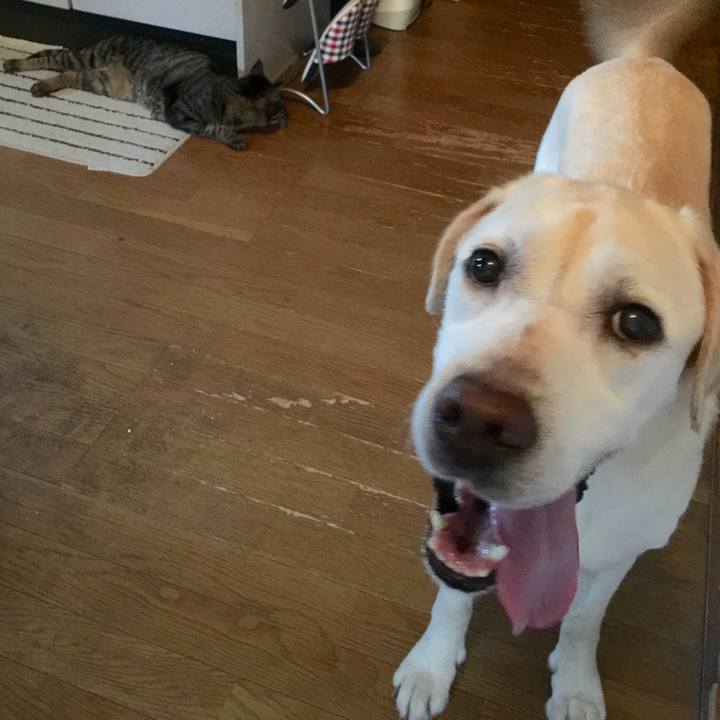 3cd0f200 f21e 47a9 ac32 178e162e2ebb