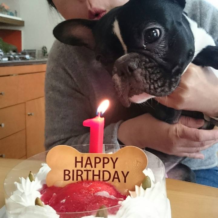 3cd1054d 0739 4403 bc86 cb33086cc21e