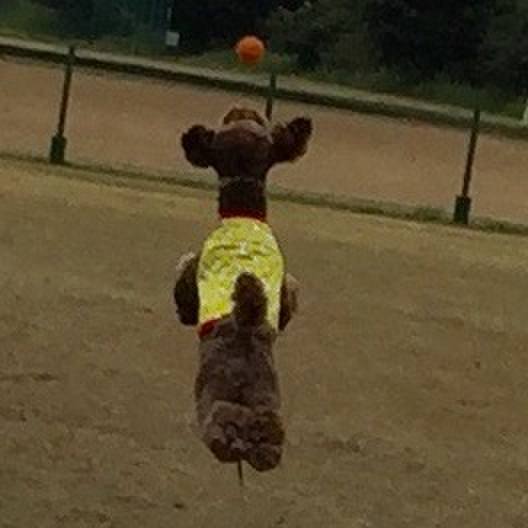 3cd16caa 85f0 46ca ba84 011d4cf436dd