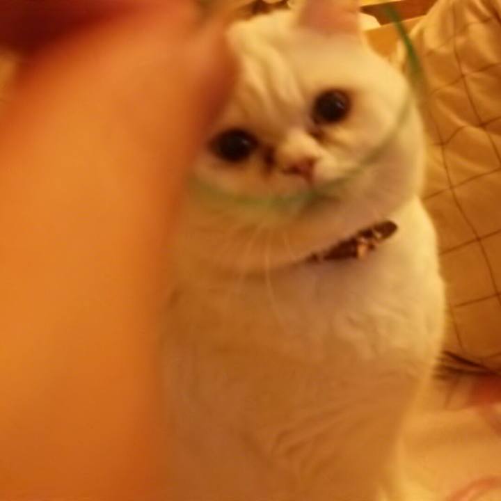 3cd2195a b1fb 4cab 837b 0afd51673812