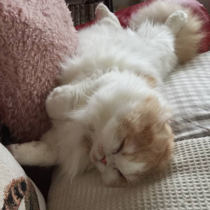 3cd240db f787 4815 947b 14c9da7c9ba0