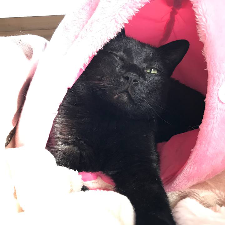 3cd39ffe 1682 49d1 b408 a280e280da18