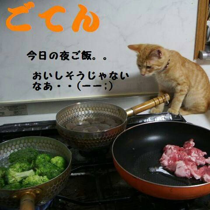 3cd4aaa7 02c9 4241 8e4a 62ad928c166e