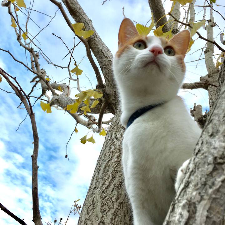 3cd4f345 46cf 4336 86a3 7d82196cb133