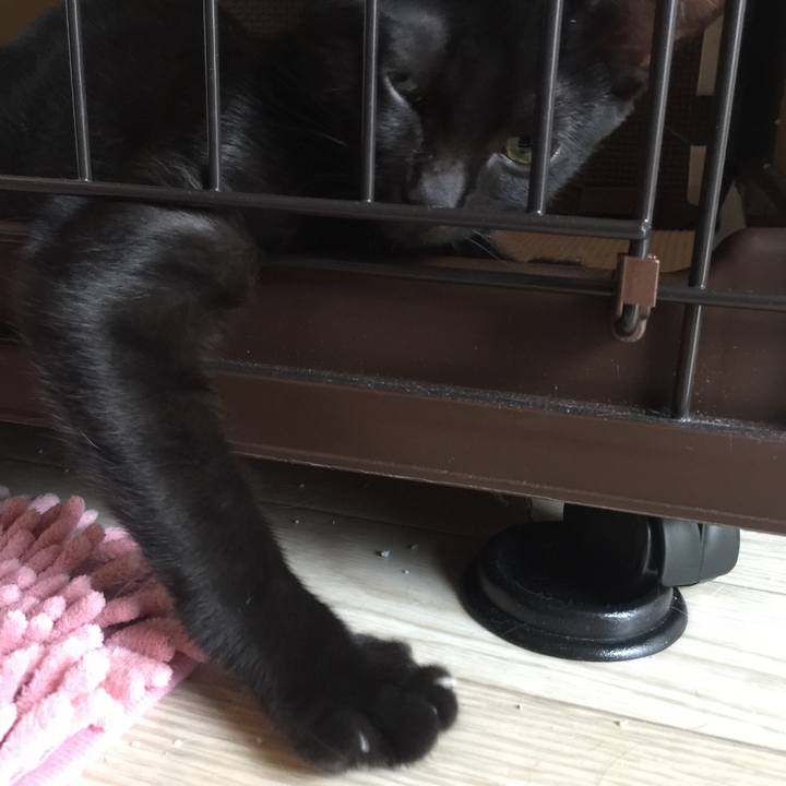 3cd528bf 14c6 41cc b36e 09b7a70cd287