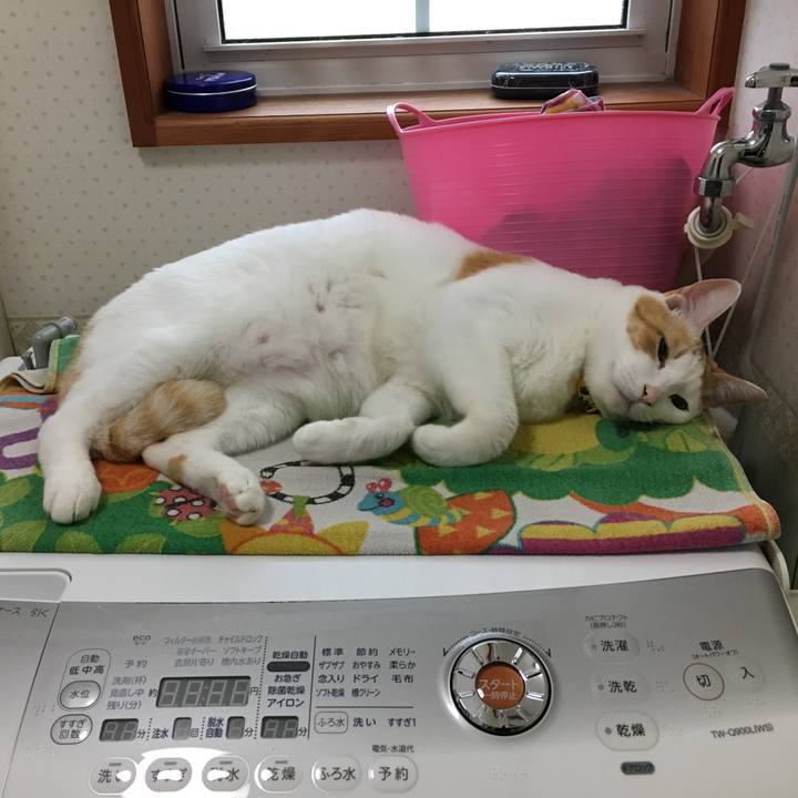 3cd59d48 9cee 4aea 9976 ec7bd4f78892