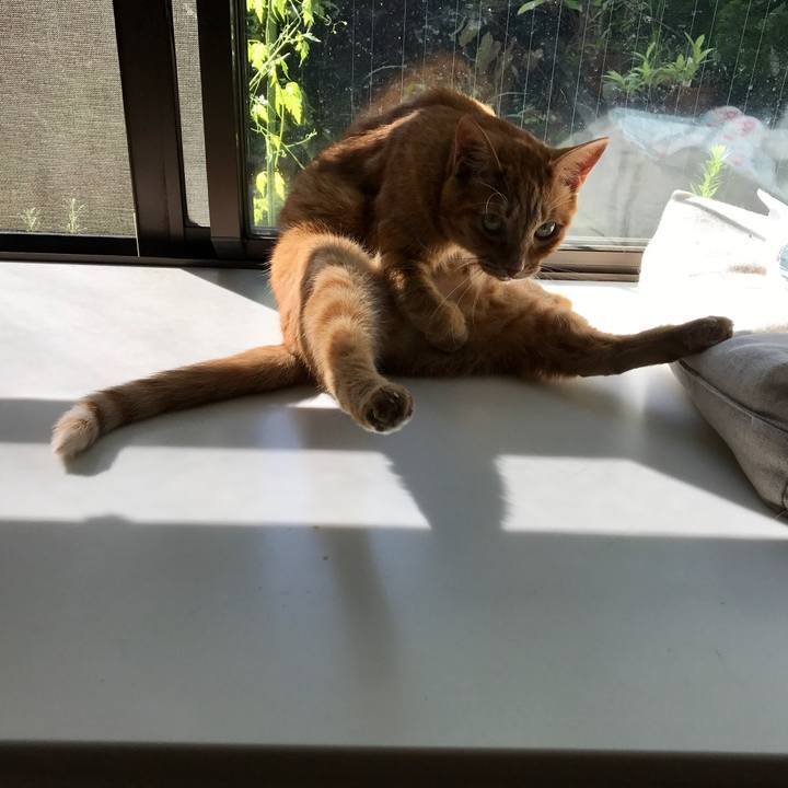 3cd5a225 86b5 446c 86f3 c3d39e855d8a