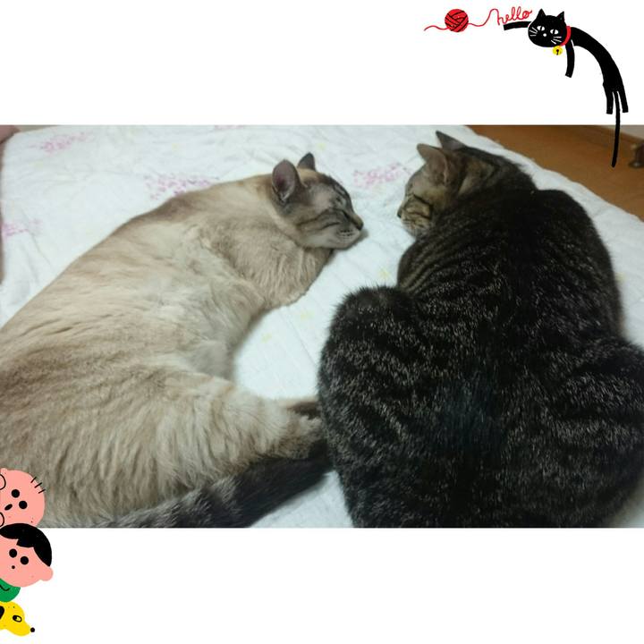 3cd5dea9 cc99 4d99 bd06 18122b9079f8